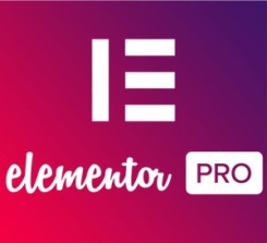 Wordpress Elementör Pro Eklentisi
